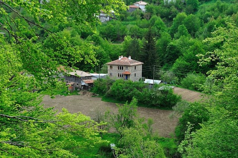 Gogovi Guest House,Gudevitsa vilage