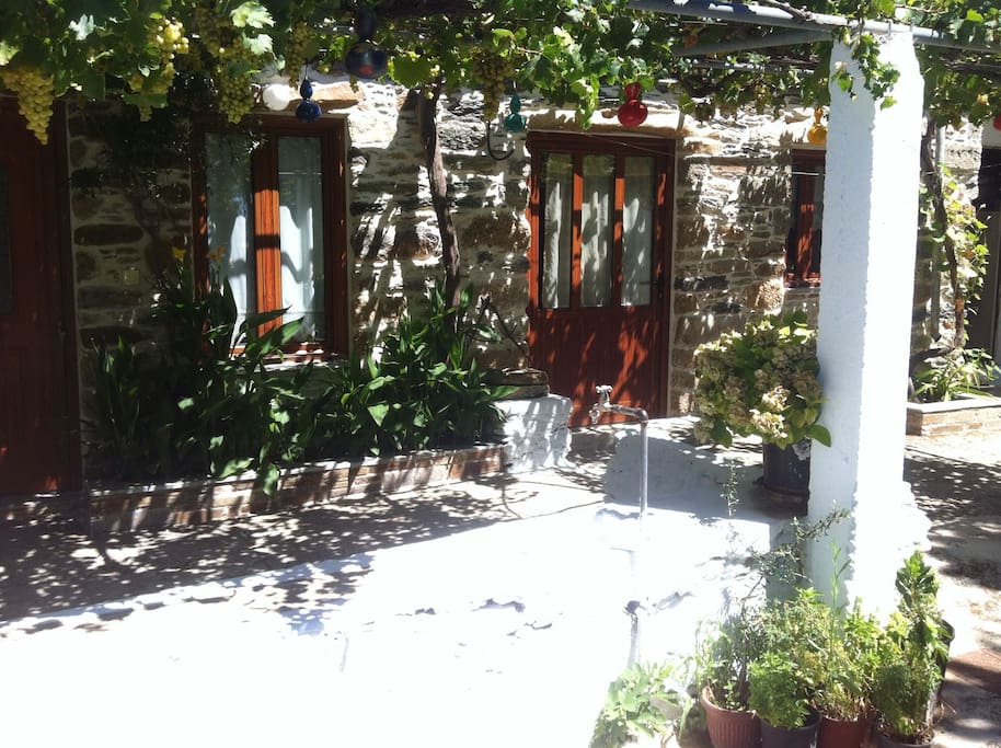 Terrasse