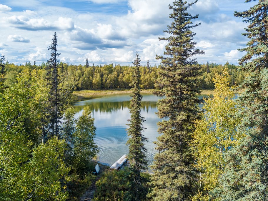 Aerial view of the pond.