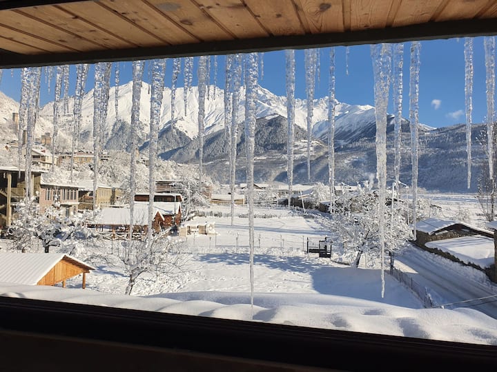 Местиа лючалаата