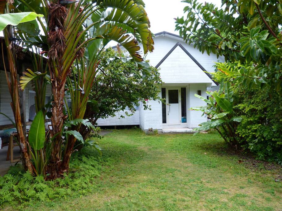 Tropical garden plants