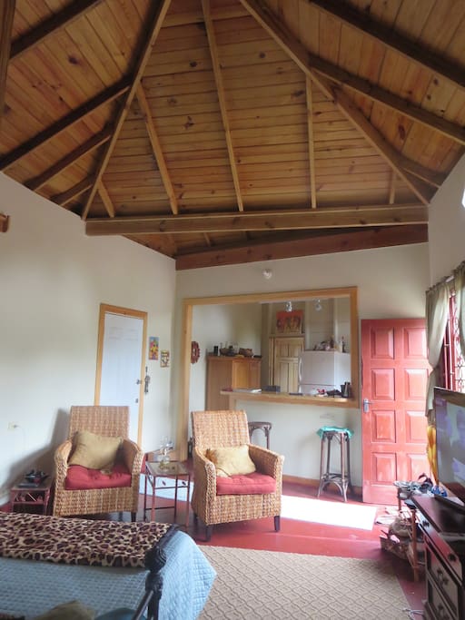 Living room with high vaulted pine ceiling