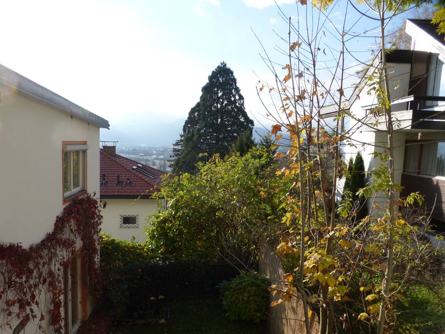 CITY VIEW