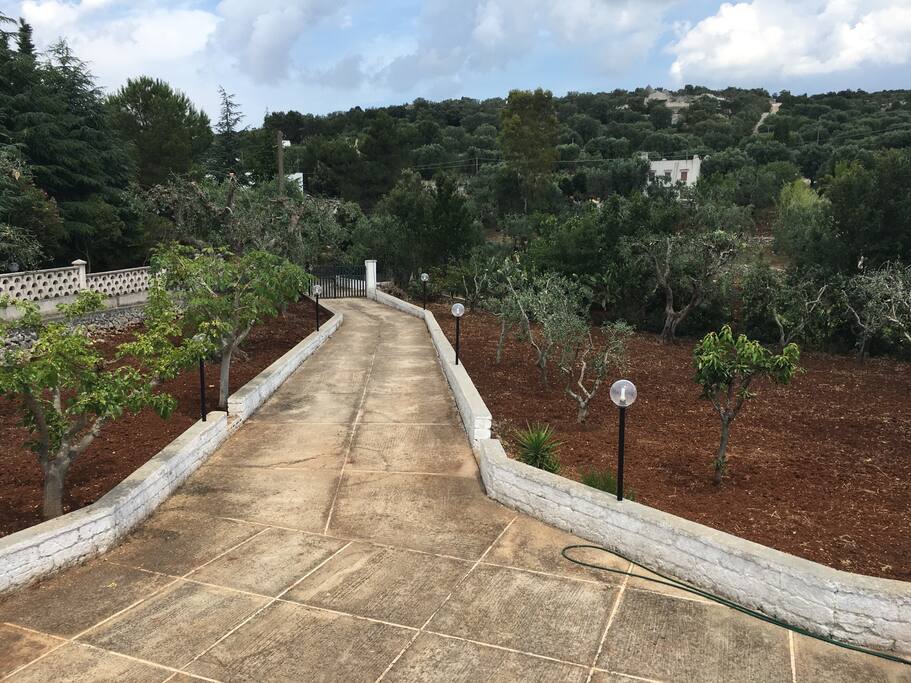 Viale e piazzale recintato