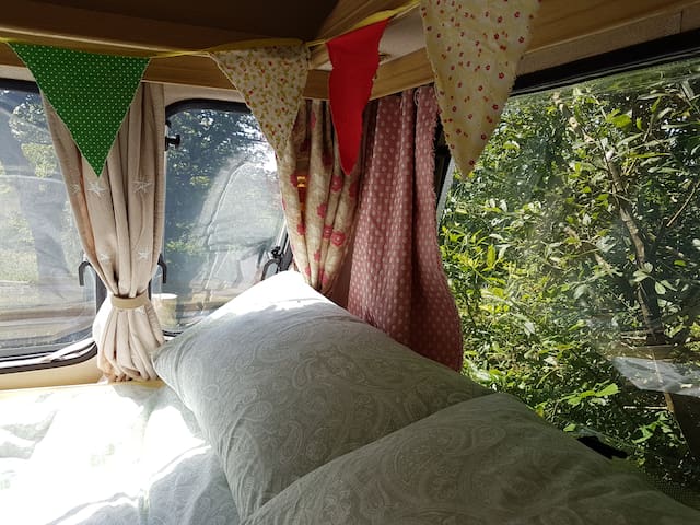 Willow Vintage Caravan at The Greenhouse Cabin