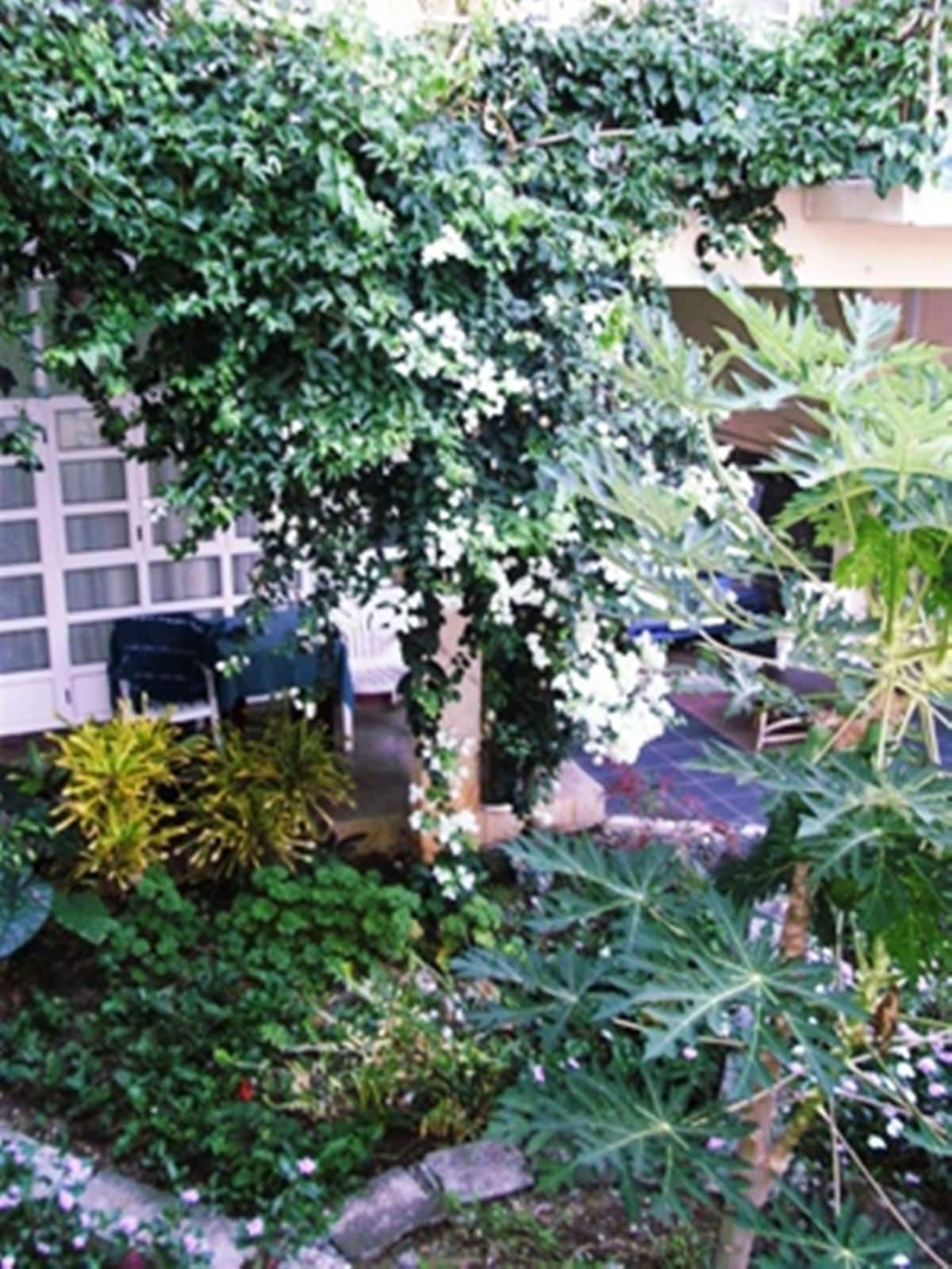 A lush garden is highlighted, featuring vibrant greenery and blooming white flowers. Various plants are visible, with a seating area partially obscured by foliage. Natural light filters through, creating a serene and inviting environment.