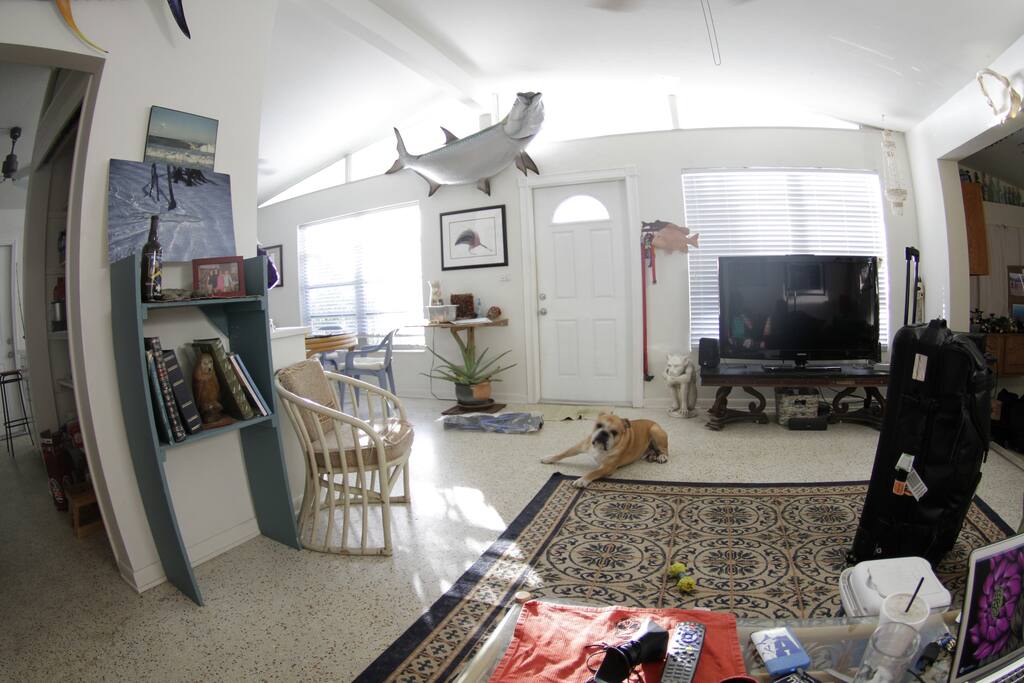 Living room common area 2 years ago, the bull dog is gone,lol Its a nice well lit room with the kitchen off to the left there of the book shelf. Will try to get more pictures up soon.