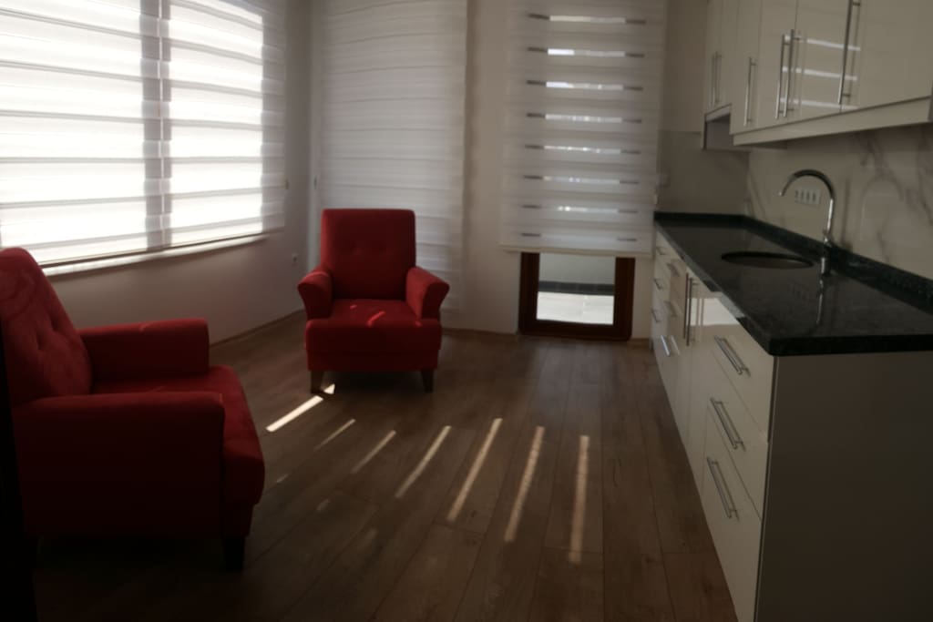 tek kişilik 1+1 apart Salon