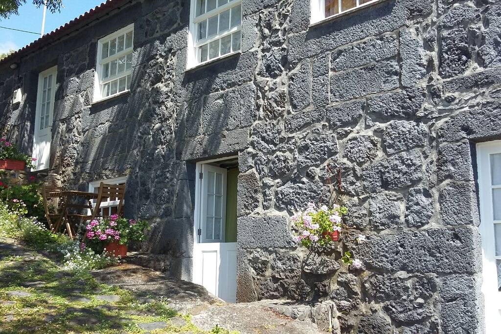 46a768fa 0b93 4793 8a9a 020dd6c043c2