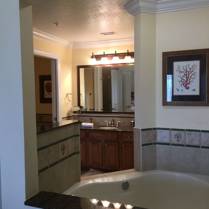 Master bathroom