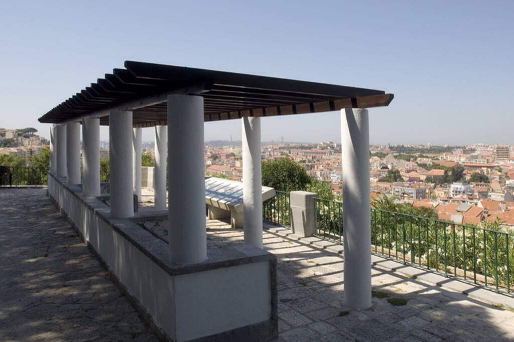 Panoramic View