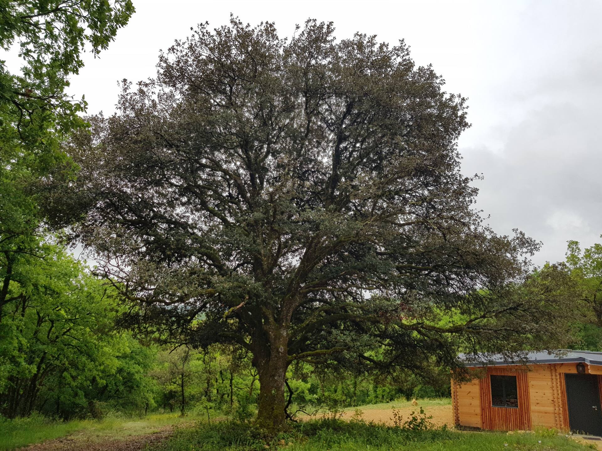 Gîtes du Chêne Vert — foto 2