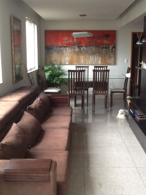 Sala ampla e arejada