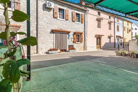 Successful Airbnb property: Stone house Malia in Općina Kaštelir Labinci