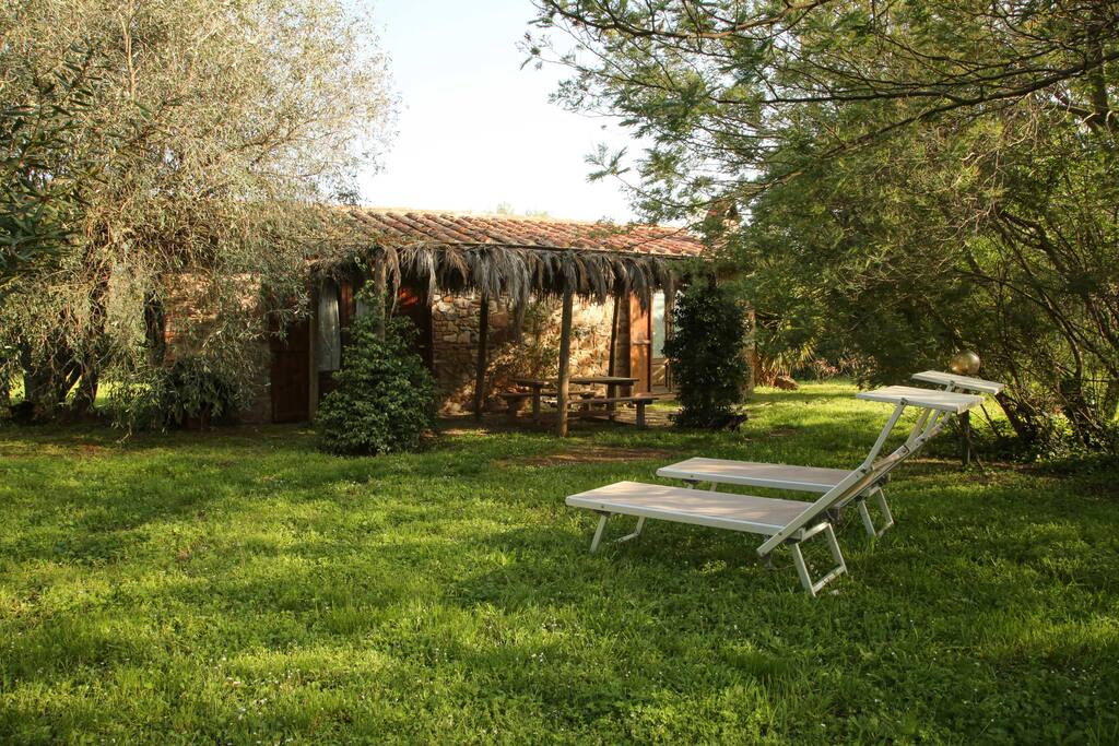 Esterno attrezzato con gazebo