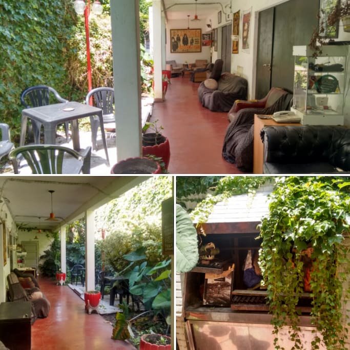 Galería Jardin.