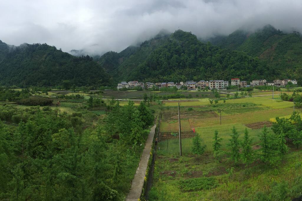 屋后好风光