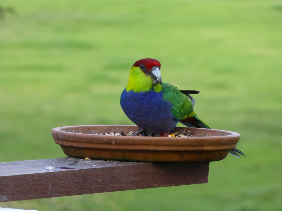 Neighbours.