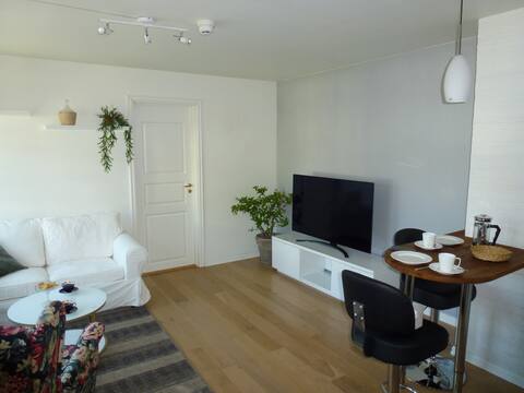 Centrally located apartment in Leikanger