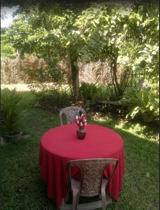 Table in the garden