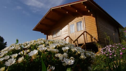 Casa do Mar  - Pure Nature Wooden Houses