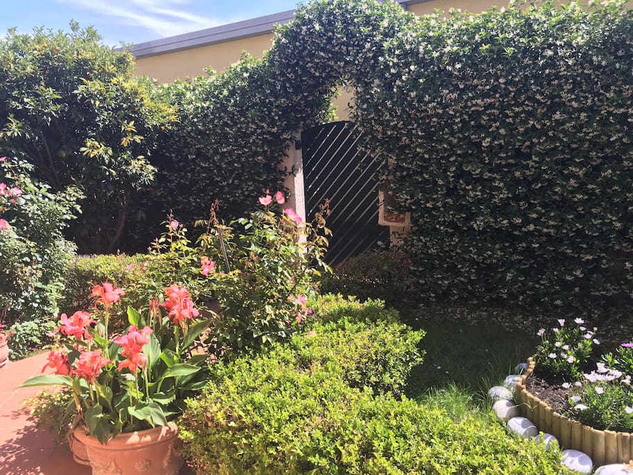 Giardino
Garden