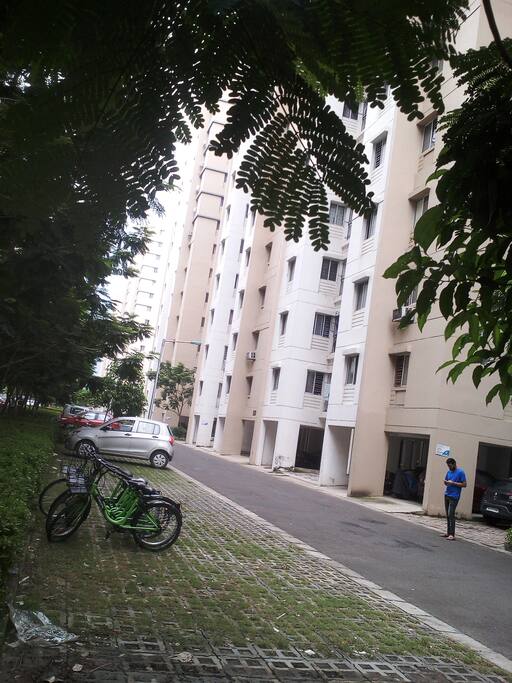 The complex