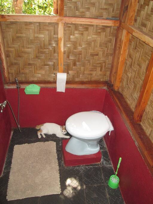 toilet (no flush - only bucket flushing!)