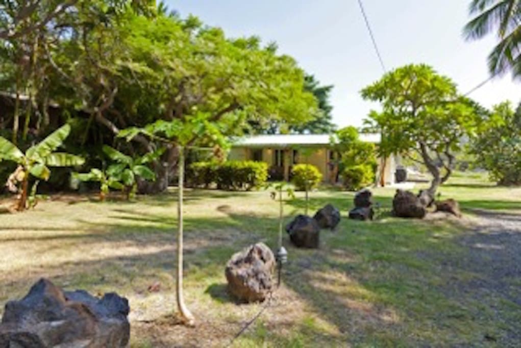 View of home from street.
