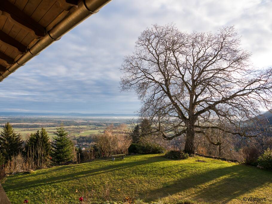 Gardenview