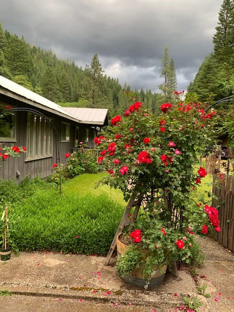 Quiet retreat in Downieville