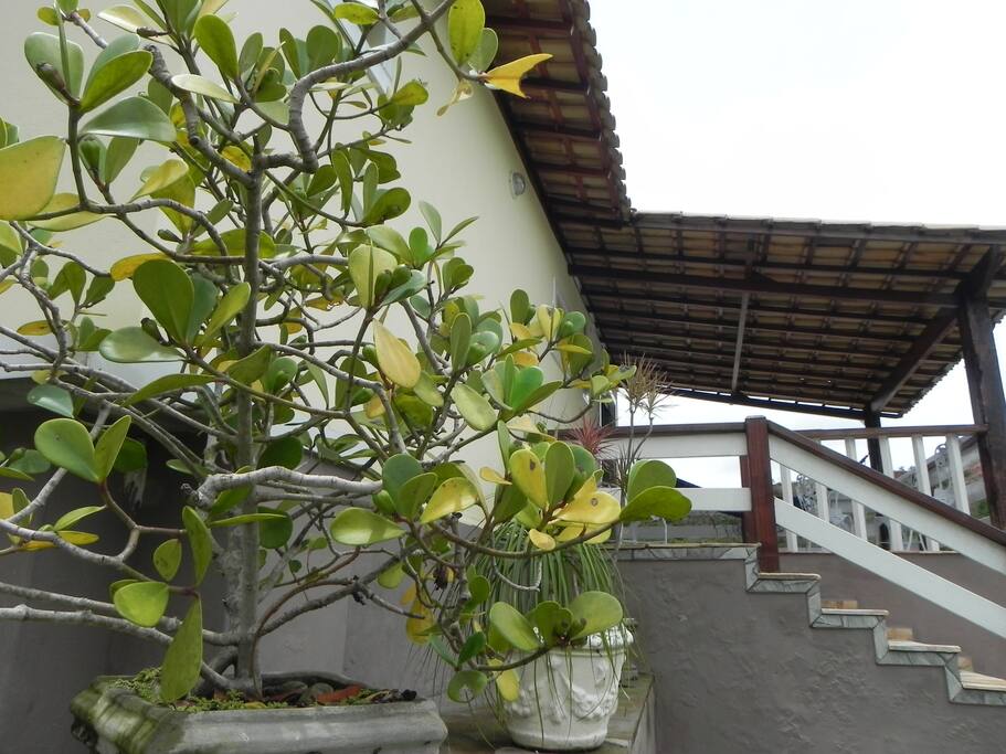 Entrada para o chalé