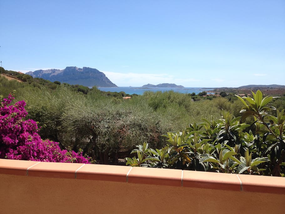 Vista dalla veranda
