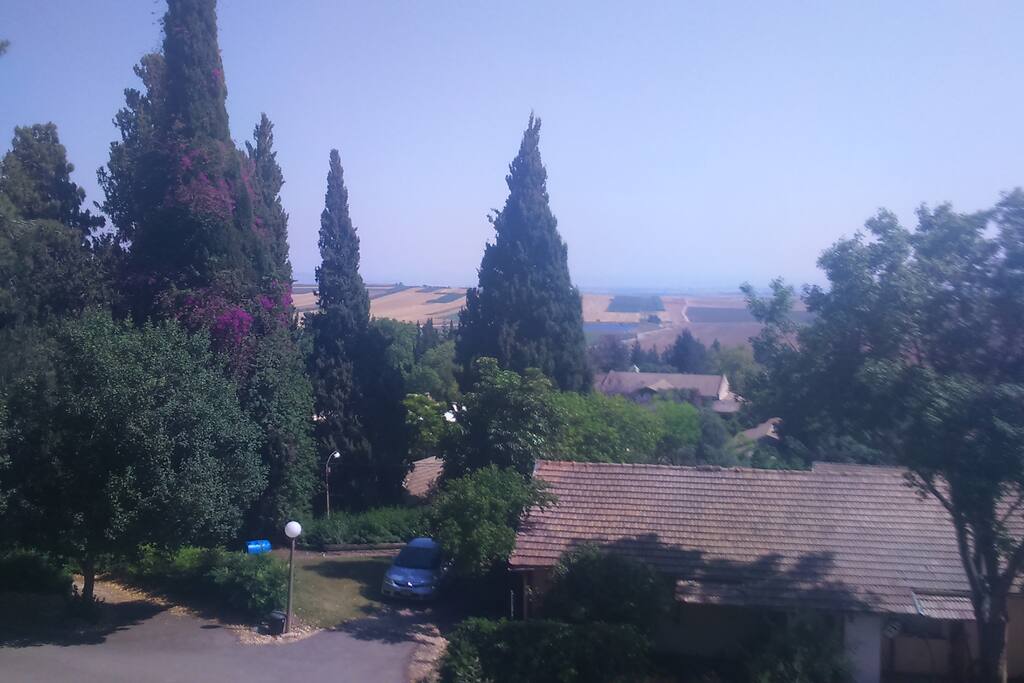 the view from our porch
