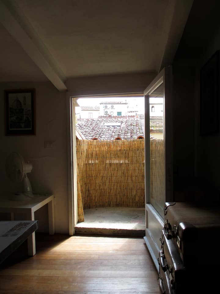 Una Mansarda Sul Tetto (Private Bathroom/ac)