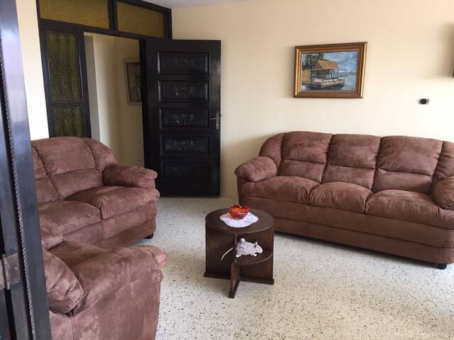 Spacious & Confort Apt in the Heart of the City