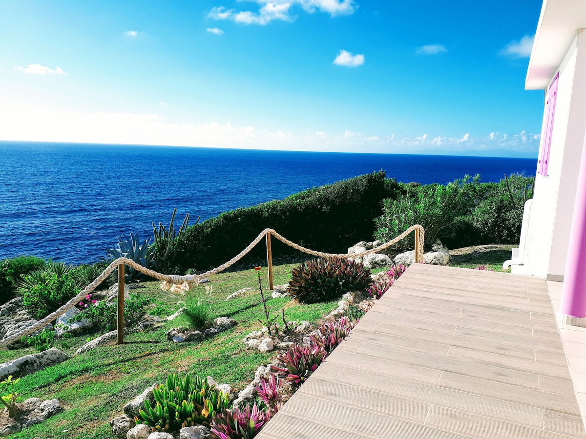 A coastal view is presented from a spacious patio, featuring a rope barrier marking the edge of the lush garden. Vibrant plants and rocks are visible, leading to a sweeping view of the blue ocean under a clear sky.