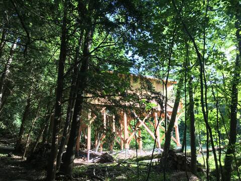 The treehouse with Jacuzzi near Tours