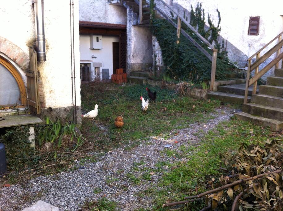 Cortile