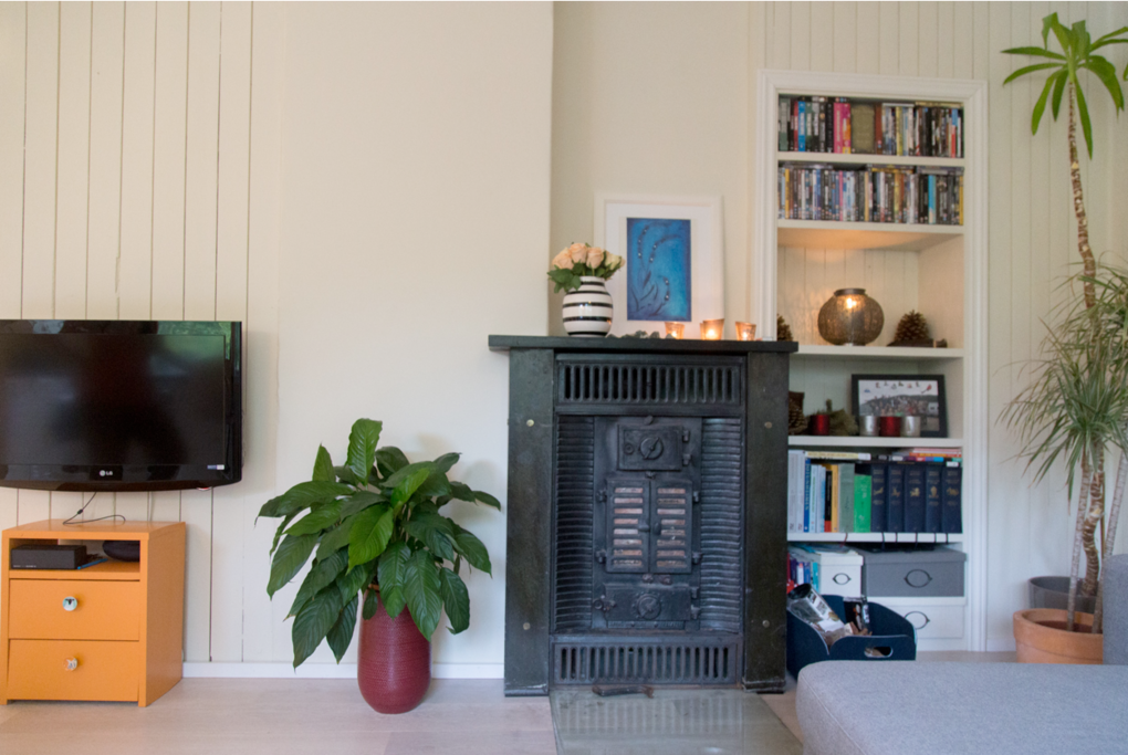 Living room with tv and fireplace