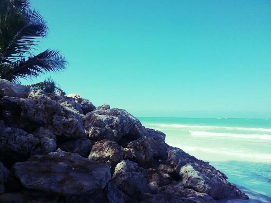 Explore the amazing Siesta Key beach