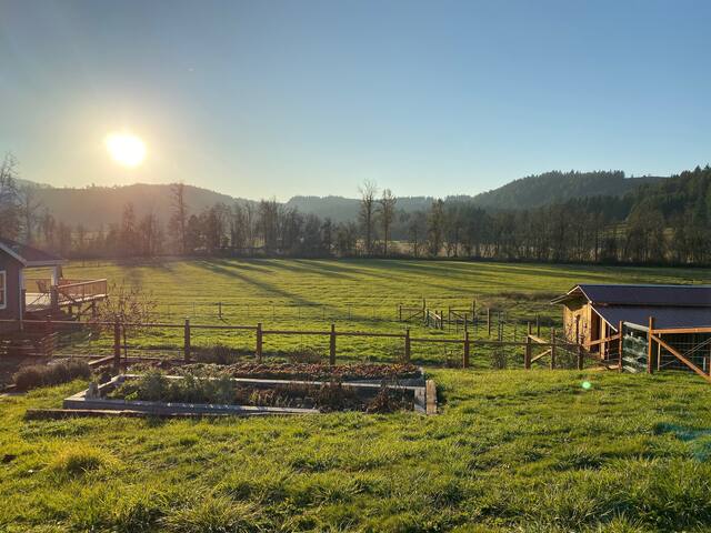 Guest favorite listing in Eugene-Springfield