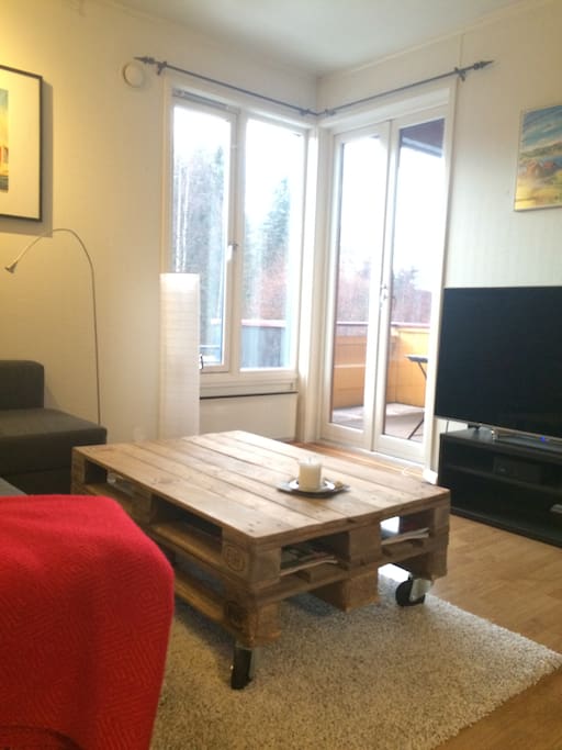 Sofa. Table. TV.