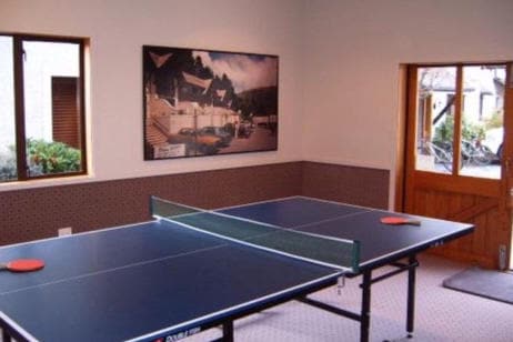 A ping pong table is positioned within a well-lit room, featuring a large window that offers natural light. A colorful wall poster adorns one side, while a wooden door provides access to the outdoor area. The carpeted floor enhances comfort and usability.