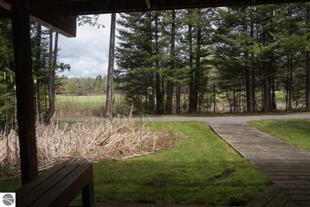View from bedroom