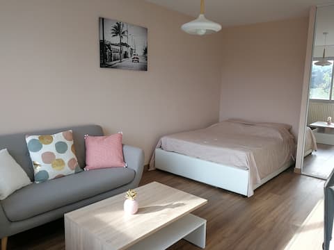 Charmant appartement entièrement rénové