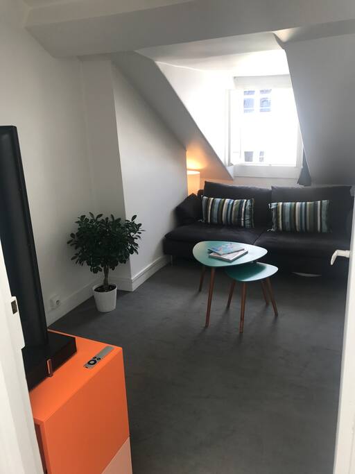 Salon - Living Room