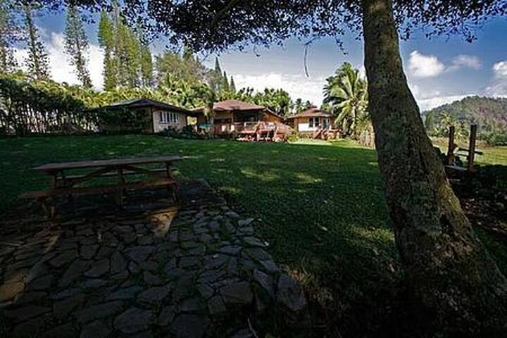 Hana Ocean Front Paradise gallery image 4