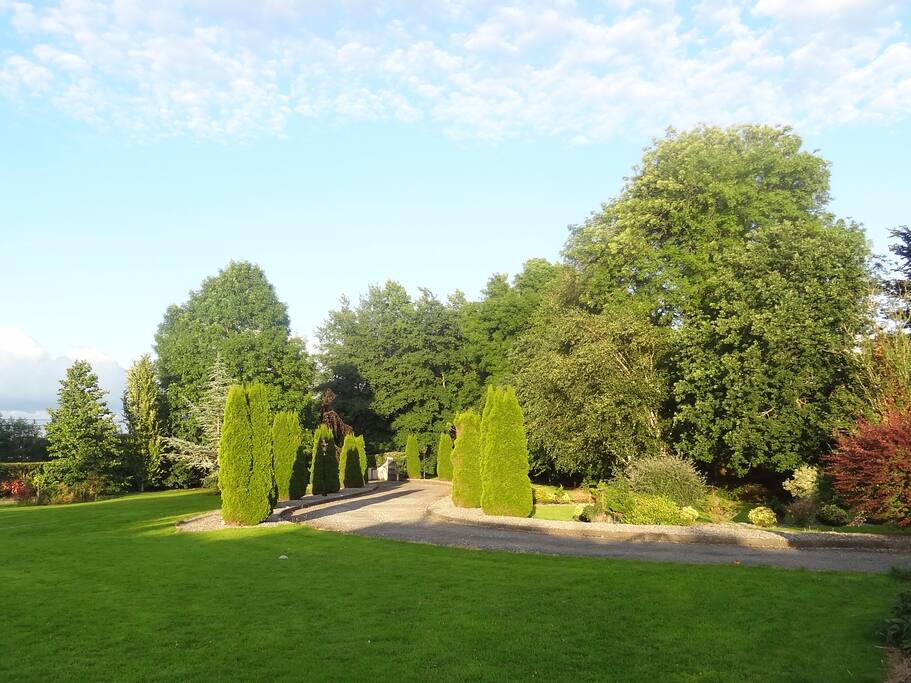 Driveway