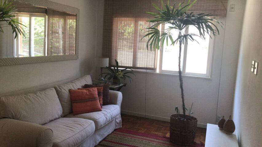 Apt in the heart of Santa Teresa! gallery image 3